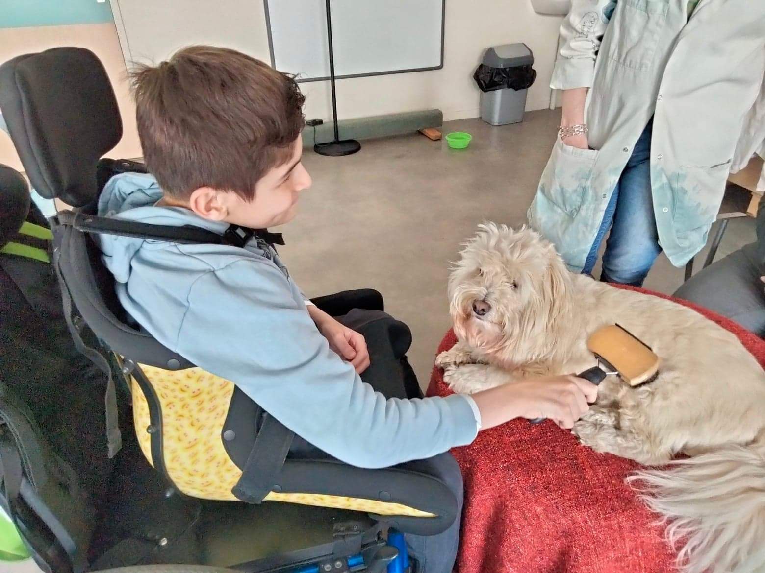 IME Site Corentin Donnard toiletter un chien 